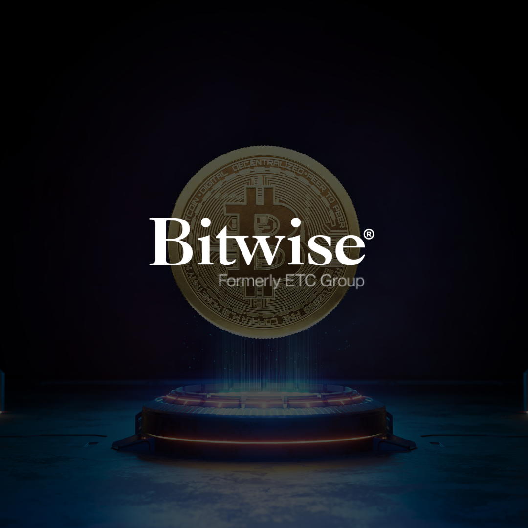 bitwise 13