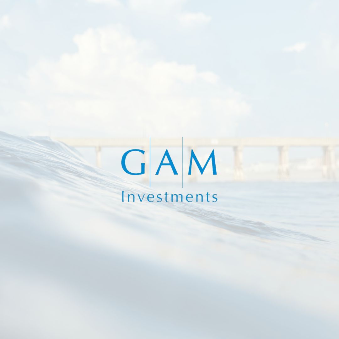 GAM Investments El nuevo orden energético